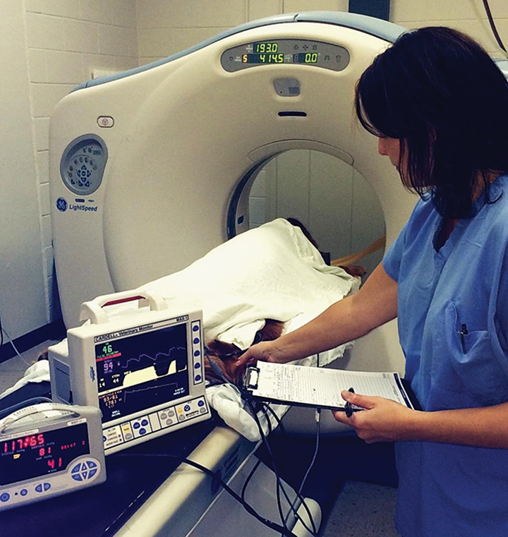 Top 5 Tips for Successful Anesthetic Monitoring Clinician's Brief